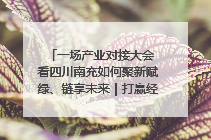 一场产业对接大会 看四川南充如何聚新赋绿、链享未来｜打赢经济发展翻身仗