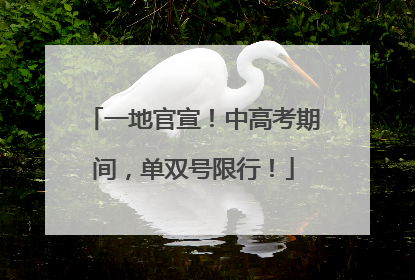 一地官宣！中高考期间，单双号限行！