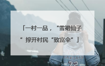 一村一品，“雪裙仙子”撑开村民“致富伞”