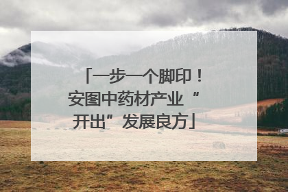 一步一个脚印！安图中药材产业“开出”发展良方