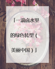 一滴卤水里的绿色转型（美丽中国）