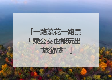 一路繁花一路景！乘公交也能玩出“旅游感”