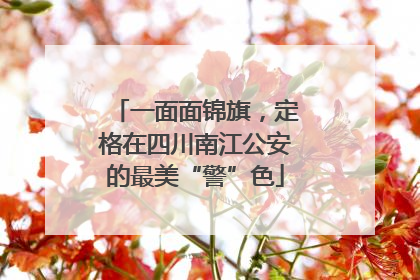 一面面锦旗，定格在四川南江公安的最美“警”色