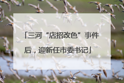 三河“店招改色”事件后，迎新任市委书记