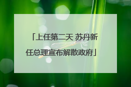 上任第二天 苏丹新任总理宣布解散政府