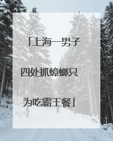 上海一男子四处抓蟑螂只为吃霸王餐