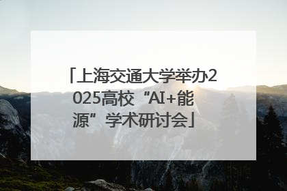 上海交通大学举办2025高校“AI+能源”学术研讨会