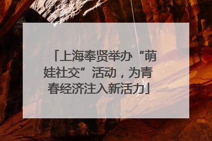 上海奉贤举办“萌娃社交”活动，为青春经济注入新活力