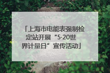 上海市电能表强制检定站开展“5·20世界计量日”宣传活动
