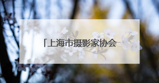 上海市摄影家协会百名摄影师走进麦盖提县开展采风活动