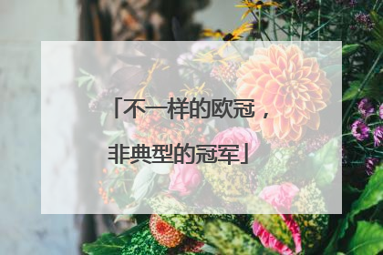 不一样的欧冠，非典型的冠军