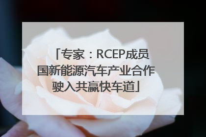 专家：RCEP成员国新能源汽车产业合作驶入共赢快车道