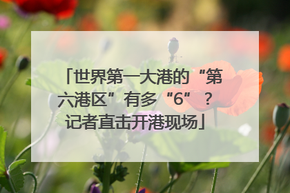 世界第一大港的“第六港区”有多“6”？记者直击开港现场