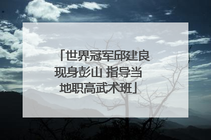 世界冠军邱建良现身彭山 指导当地职高武术班