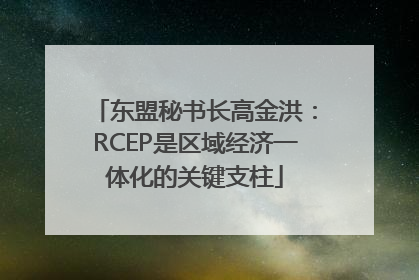 东盟秘书长高金洪：RCEP是区域经济一体化的关键支柱