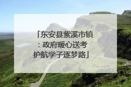 东安县紫溪市镇：政府暖心送考 护航学子逐梦路