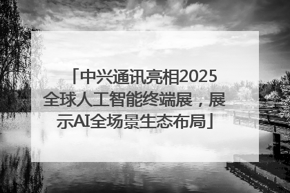 中兴通讯亮相2025全球人工智能终端展，展示AI全场景生态布局