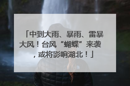 中到大雨、暴雨、雷暴大风！台风“蝴蝶”来袭，或将影响湖北！