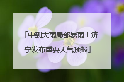 中到大雨局部暴雨！济宁发布重要天气预报