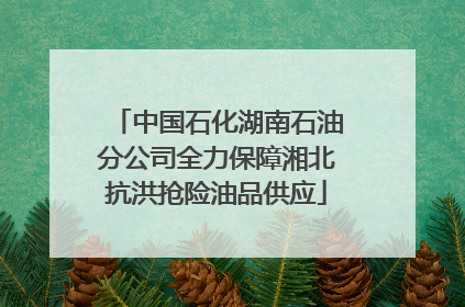 中国石化湖南石油分公司全力保障湘北抗洪抢险油品供应