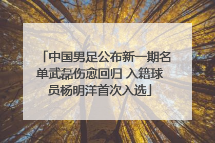 中国男足公布新一期名单武磊伤愈回归 入籍球员杨明洋首次入选