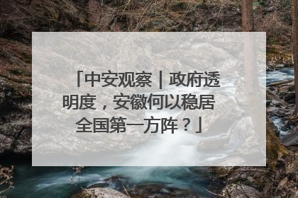 中安观察｜政府透明度，安徽何以稳居全国第一方阵？