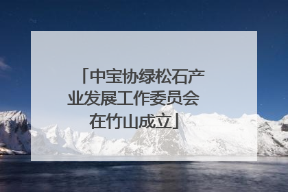 中宝协绿松石产业发展工作委员会在竹山成立