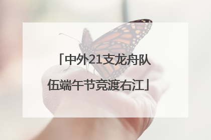 中外21支龙舟队伍端午节竞渡右江