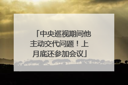 中央巡视期间他主动交代问题！上月底还参加会议