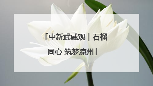 中新武威观｜石榴同心 筑梦凉州