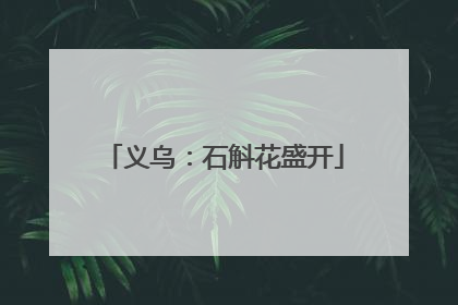 义乌：石斛花盛开