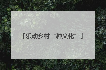 乐动乡村“种文化”