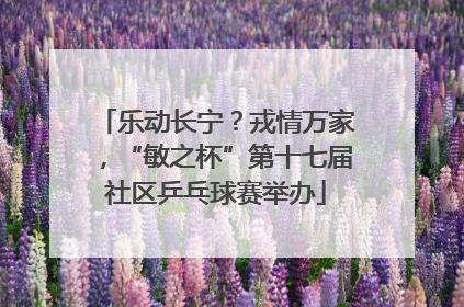 乐动长宁？戎情万家，“敏之杯”第十七届社区乒乓球赛举办