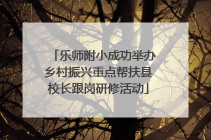 乐师附小成功举办乡村振兴重点帮扶县校长跟岗研修活动