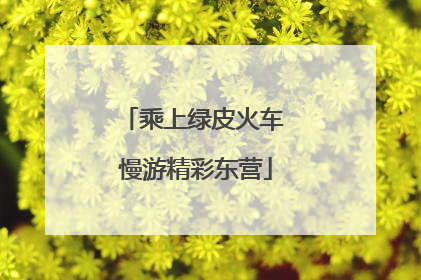 乘上绿皮火车 慢游精彩东营