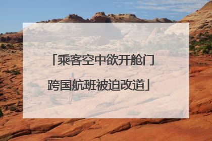 乘客空中欲开舱门 跨国航班被迫改道