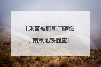 乘客被厕所门砸伤，南京地铁回应