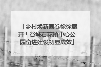 乡村焕新画卷徐徐展开！谷城石花镇中心公园奋进建设初显成效