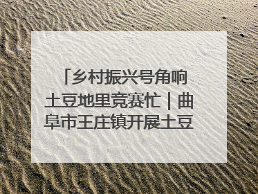 乡村振兴号角响 土豆地里竞赛忙｜曲阜市王庄镇开展土豆收获劳动竞赛
