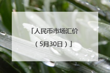 人民币市场汇价（5月30日）