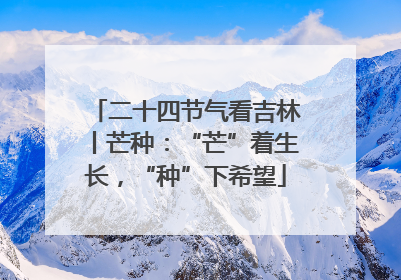 二十四节气看吉林丨芒种：“芒”着生长，“种”下希望