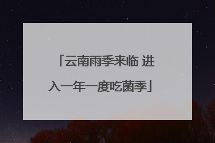 云南雨季来临 进入一年一度吃菌季
