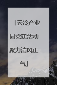 云冷产业园党建活动聚力清风正气
