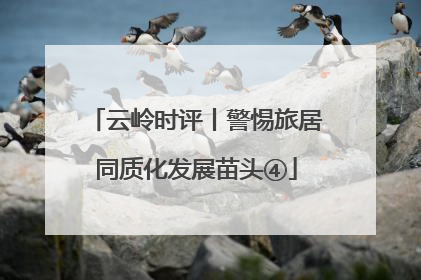 云岭时评丨警惕旅居同质化发展苗头④