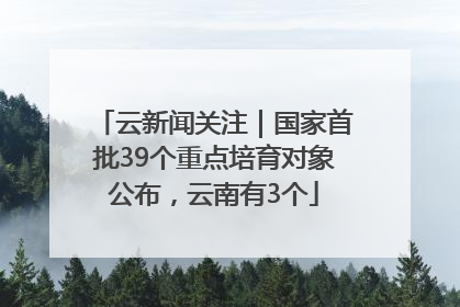云新闻关注｜国家首批39个重点培育对象公布，云南有3个