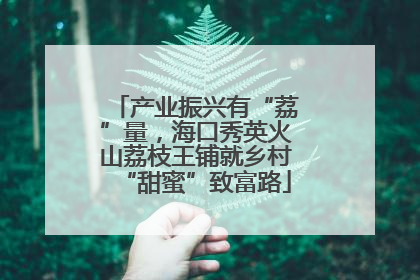 产业振兴有“荔”量，海口秀英火山荔枝王铺就乡村“甜蜜”致富路