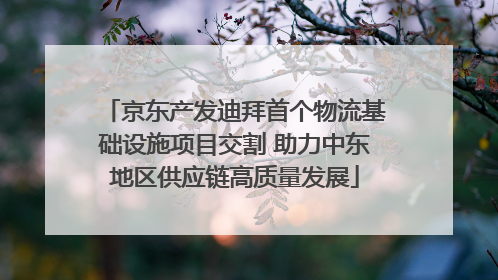 京东产发迪拜首个物流基础设施项目交割 助力中东地区供应链高质量发展