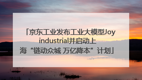 京东工业发布工业大模型Joy industrial并启动上海“链动众城 万亿降本”计划