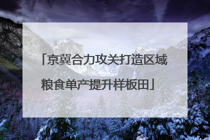 京冀合力攻关打造区域粮食单产提升样板田