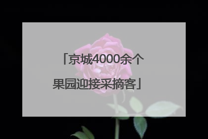 京城4000余个果园迎接采摘客